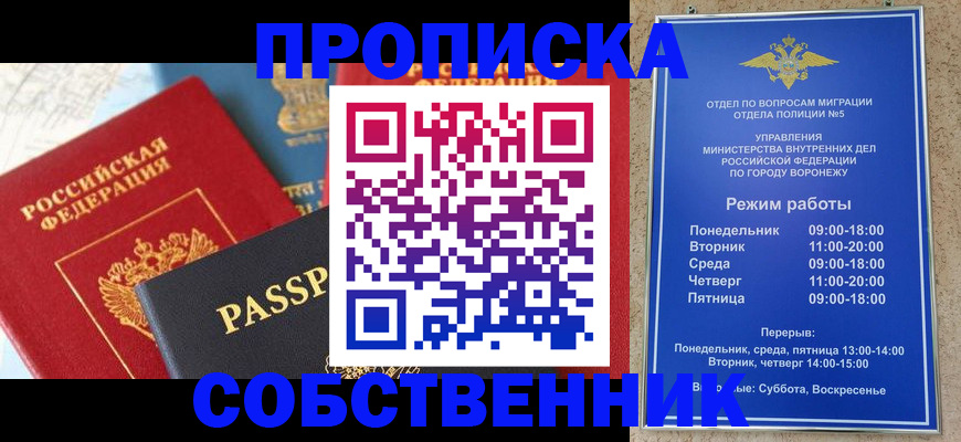 прописка гарантия в Порхове